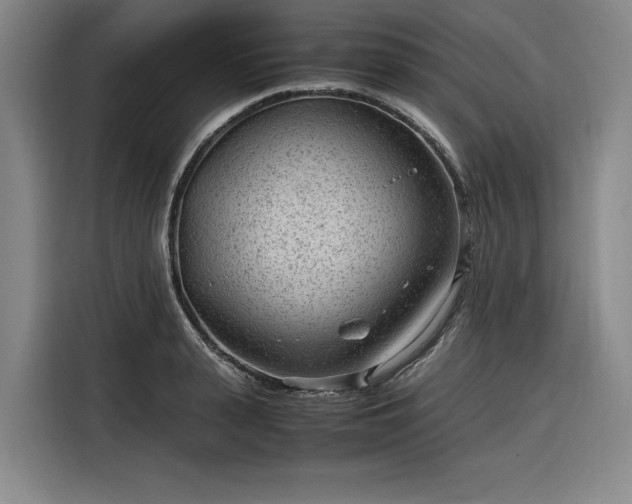 X0000116310943200912071306