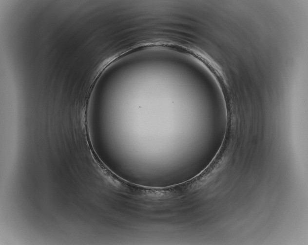 X0000116310945200912071306