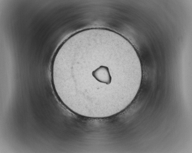 X0000116310950200912071306