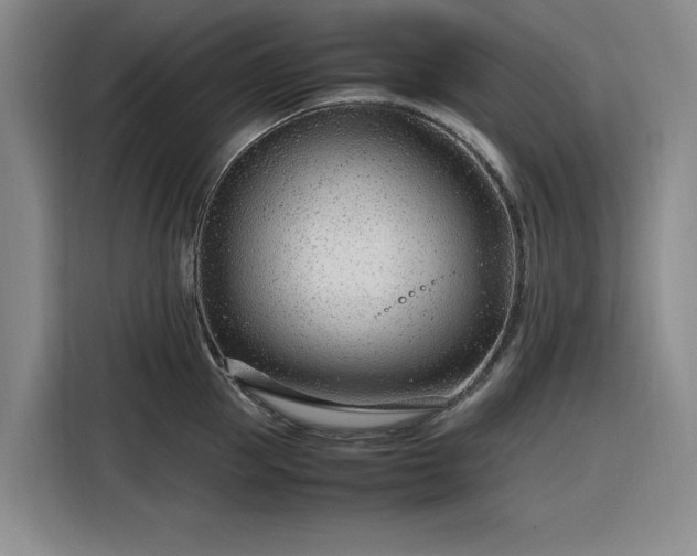 X0000116310953200912071306