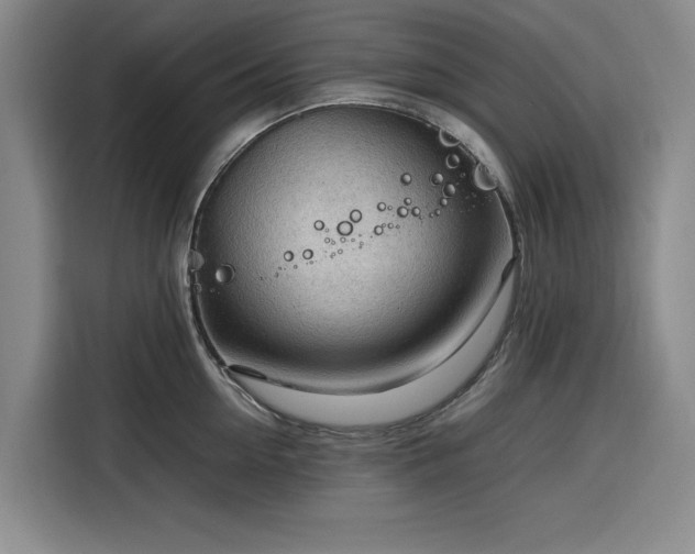 X0000116310954200912071306