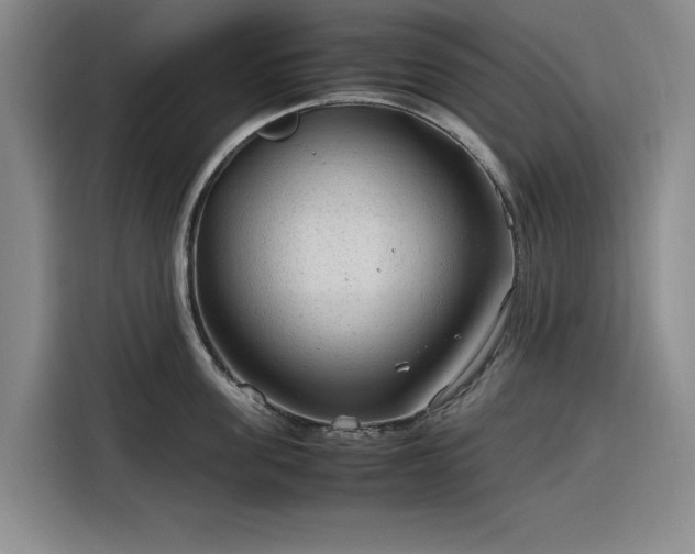 X0000116310955200912071306