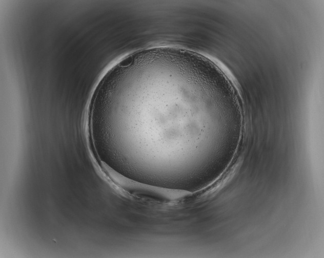 X0000116310957200912071306