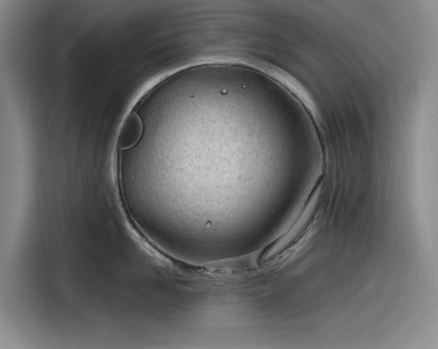 X0000116310958200912071306