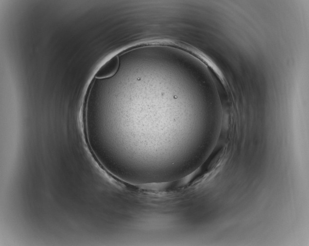 X0000116310959200912071306