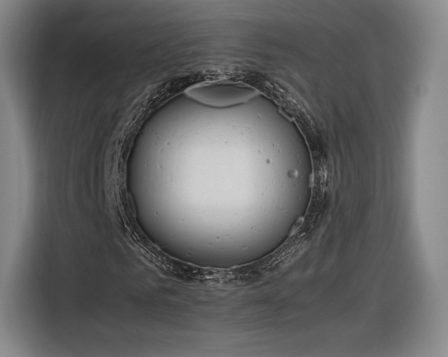 X0000116310961200912071305