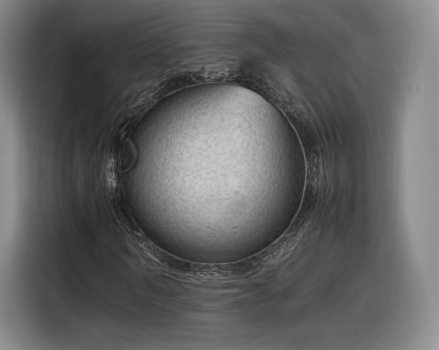 X0000116310962200912071305