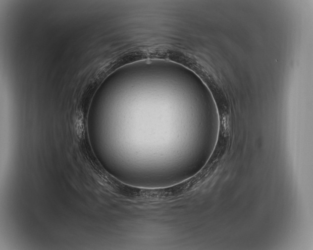 X0000116310963200912071305