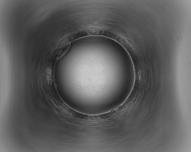 X0000116310964200912071305