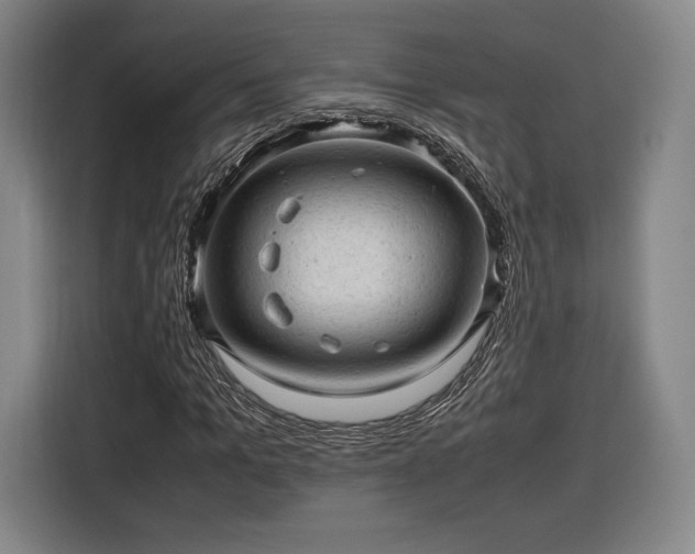 X0000116310965200912071305