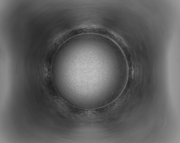 X0000116310966200912071305