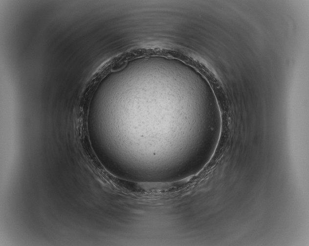 X0000116310968200912071305