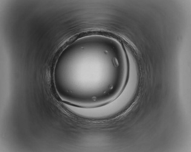 X0000116310969200912071305