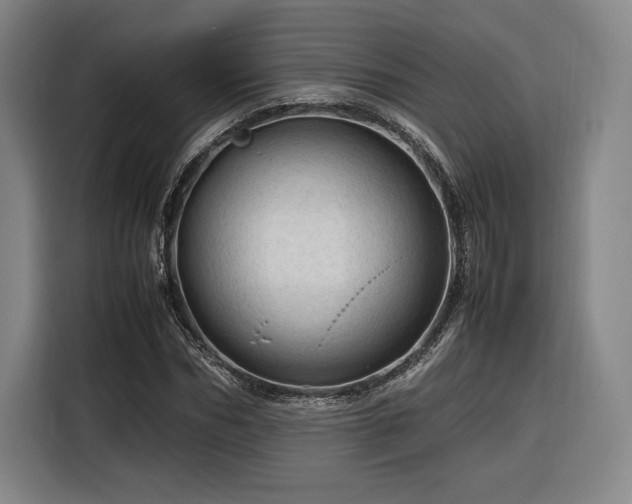 X0000116310970200912071305