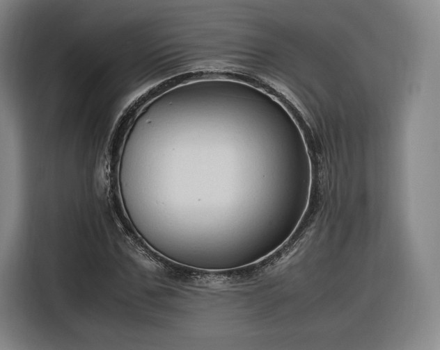 X0000116310971200912071305