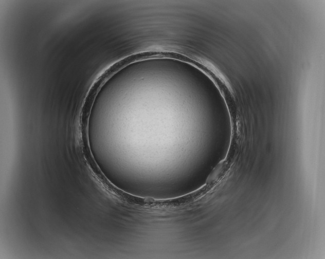 X0000116310972200912071305