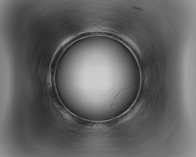 X0000116310974200912071305