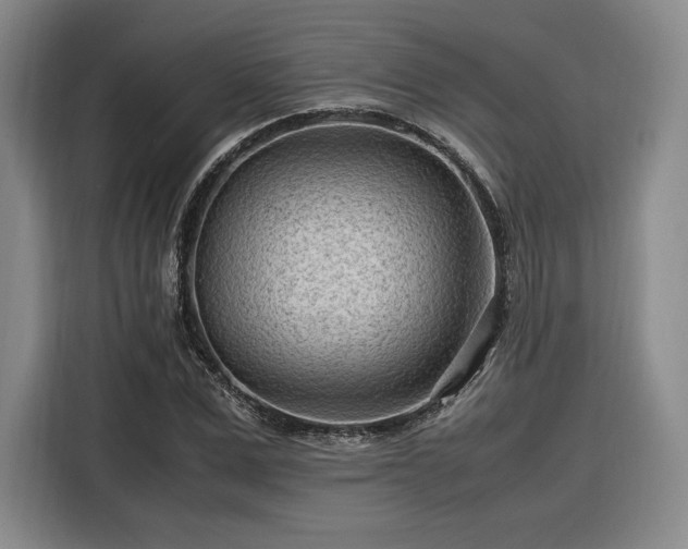 X0000116310975200912071305