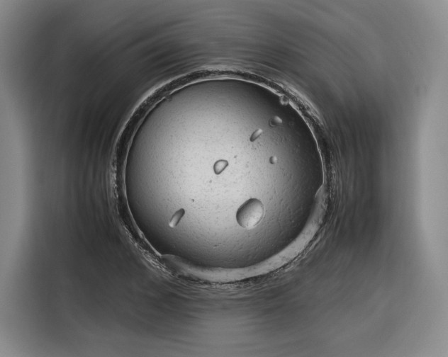 X0000116310976200912071305