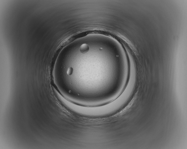 X0000116310977200912071305