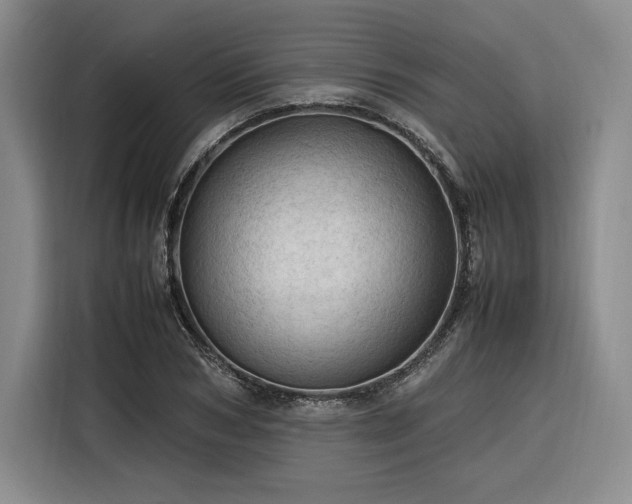 X0000116310978200912071305