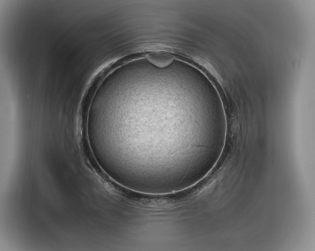 X0000116310979200912071305