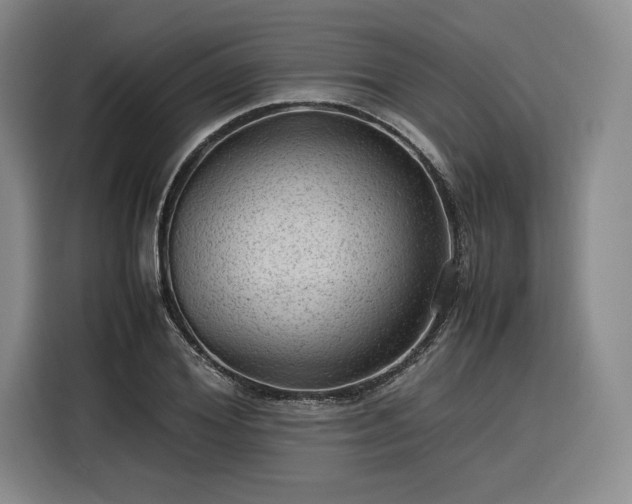 X0000116310980200912071305