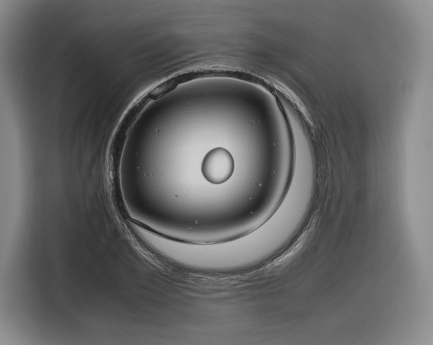 X0000116310981200912071305