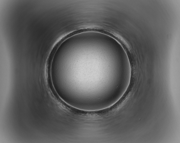 X0000116310983200912071305