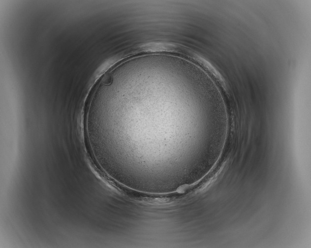 X0000116310986200912071305