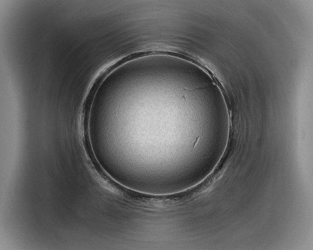 X0000116310987200912071305