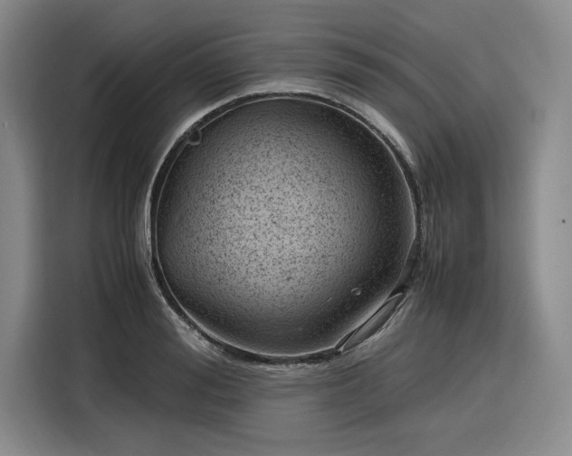 X0000116310988200912071305