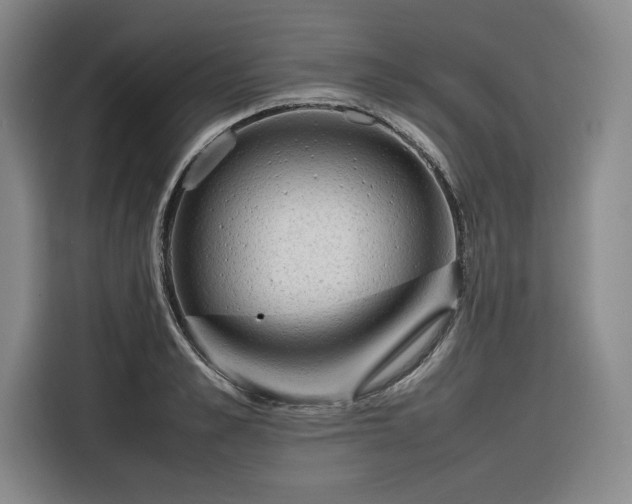 X0000116310989200912071305