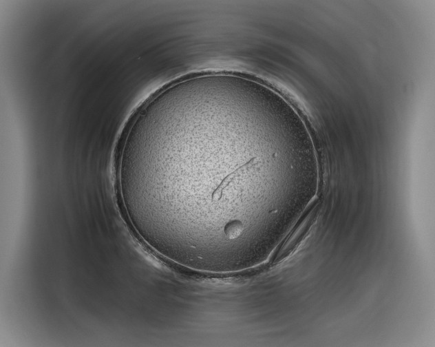 X0000116310990200912071305