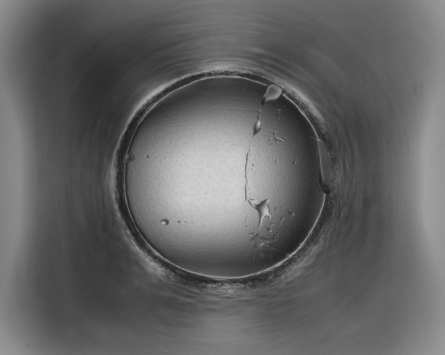 X0000116310991200912071305