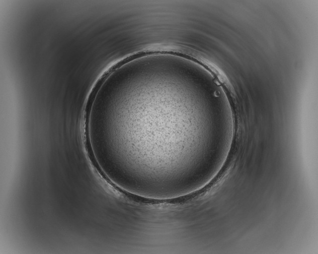 X0000116310992200912071305