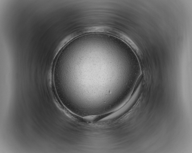 X0000116310994200912071305