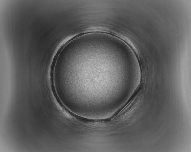 X0000116310995200912071305