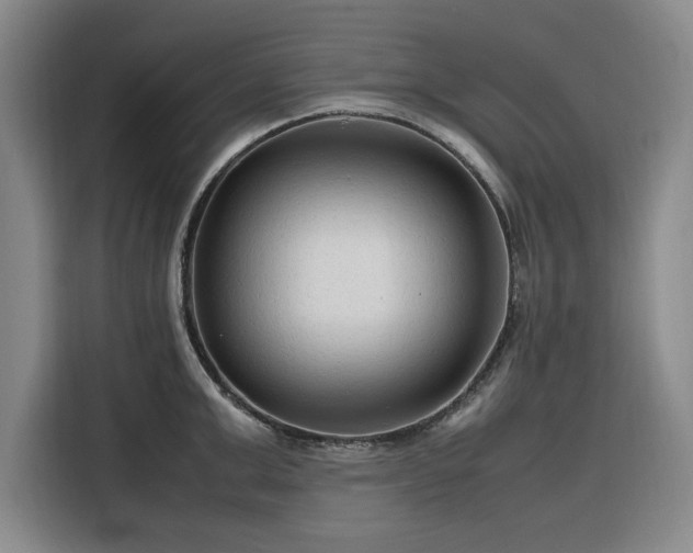 X0000116310999200912071305