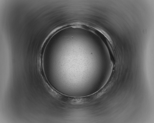 X0000116311000200912071305