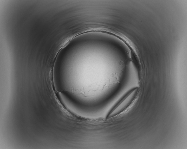 X0000116311001200912071305