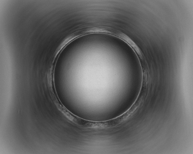 X0000116311002200912071305