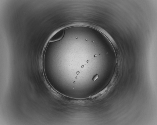 X0000116311004200912071305