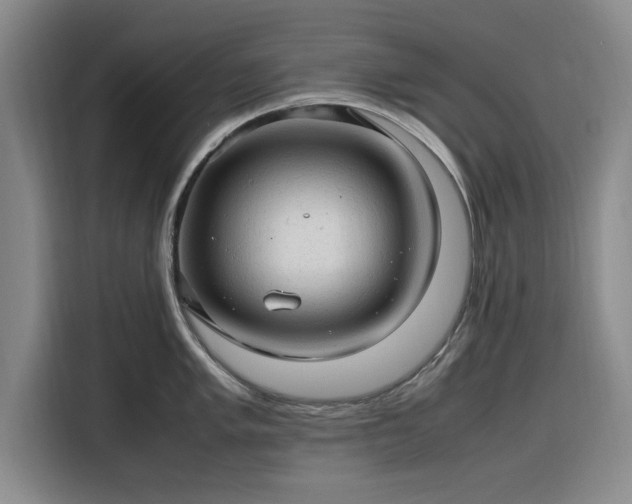 X0000116311005200912071305