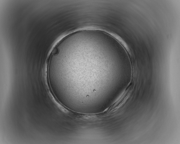 X0000116311006200912071305