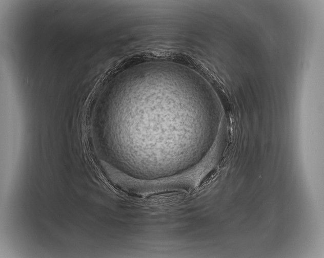 X0000116311009200912071304