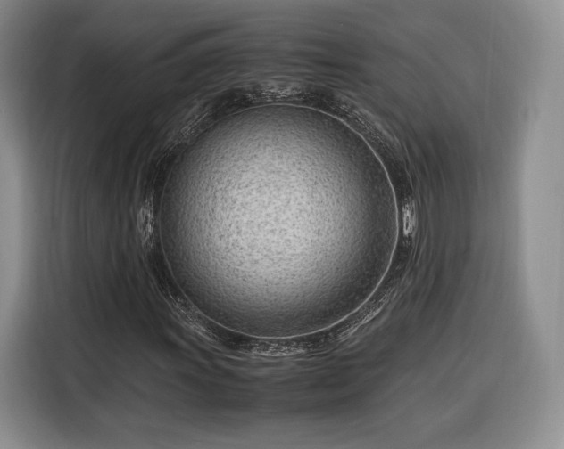 X0000116311011200912071304