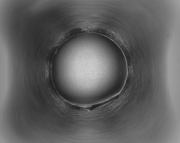 X0000116311012200912071304