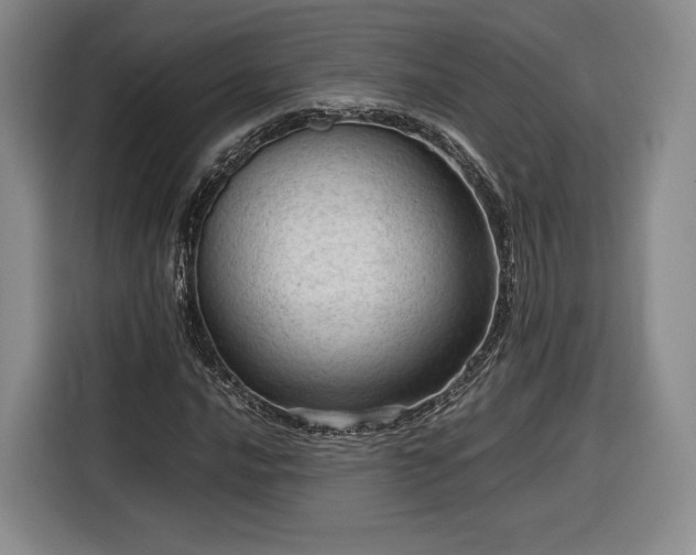 X0000116311016200912071304