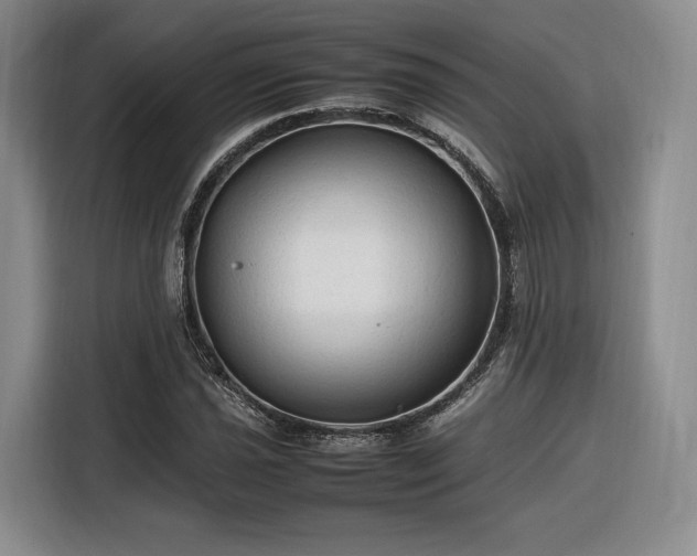 X0000116311021200912071304